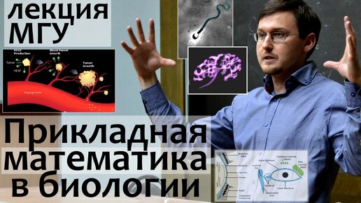 Лекции МГУ. Прикладная Математика в Биологии (Слезы, Почки и др. задачи)