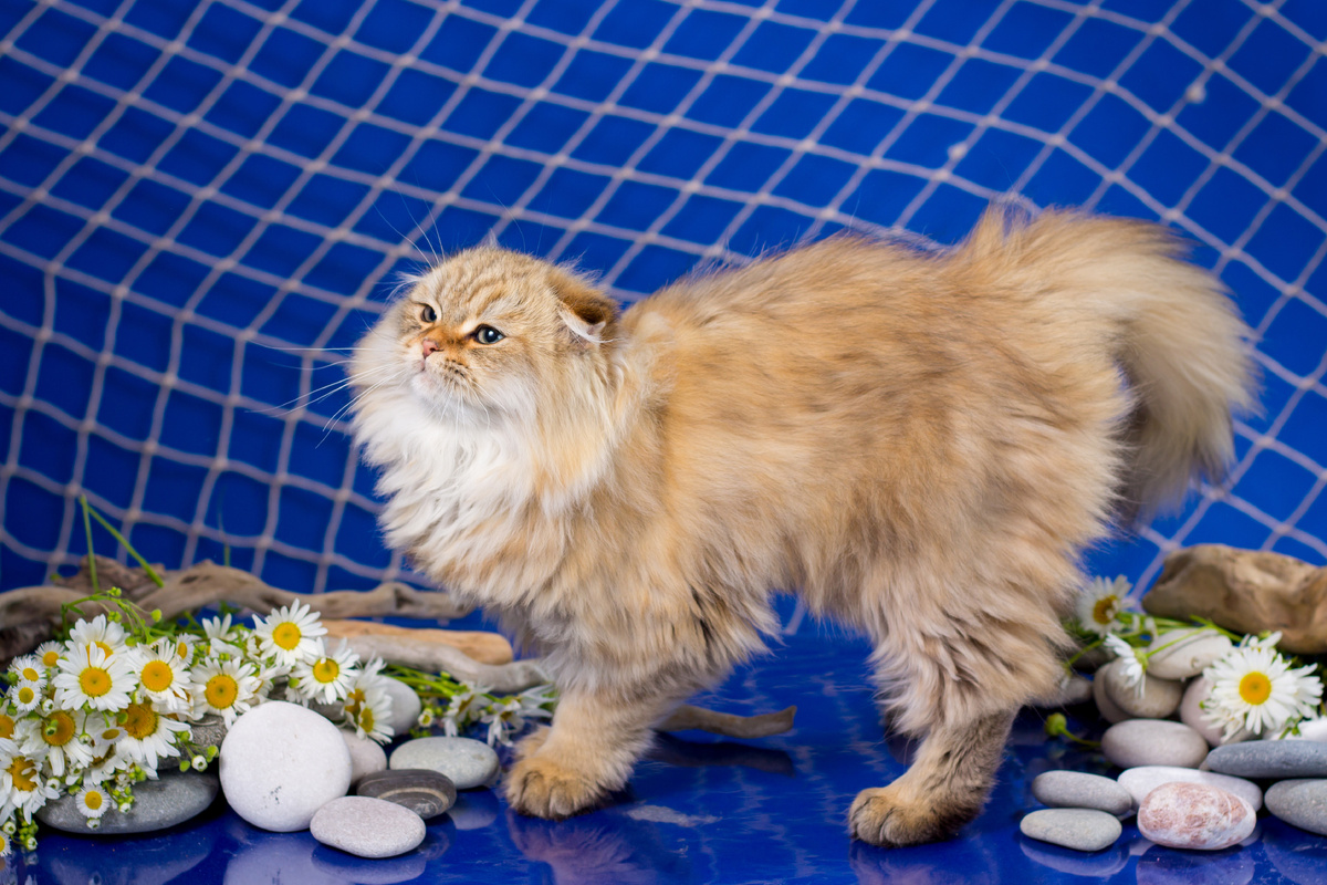 Фото из личного архива