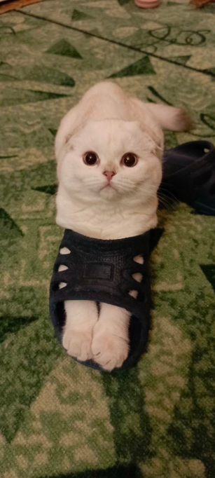 Фото автора