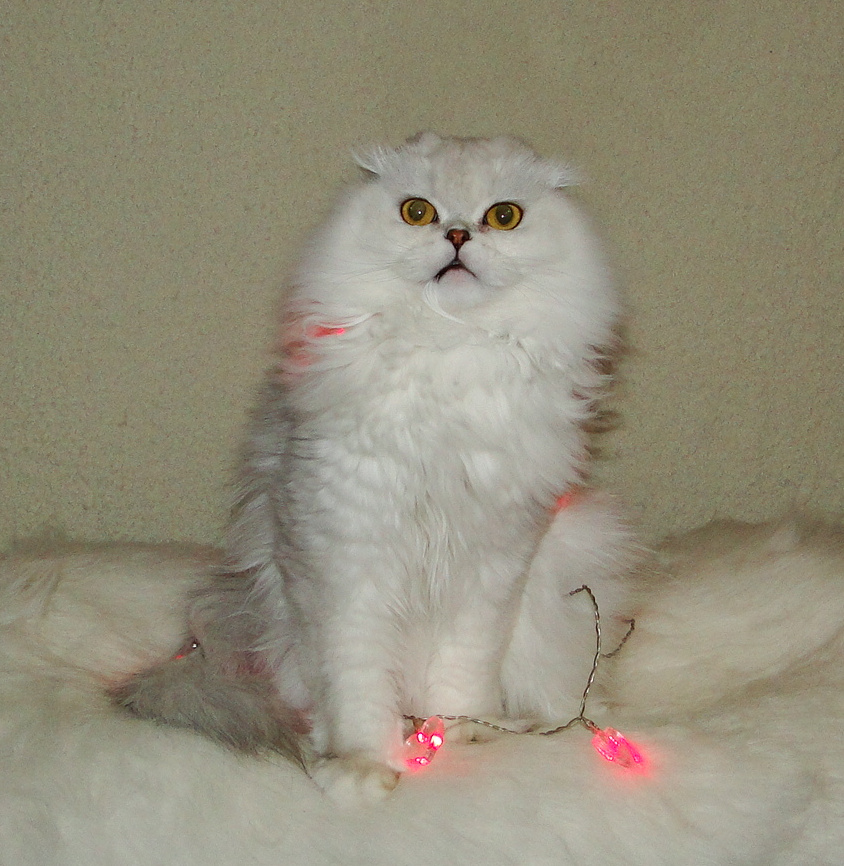 Фото из личного архива