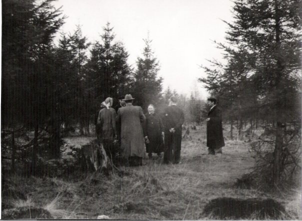 На месте будущих дач. Фото Дмитрия Анпилова