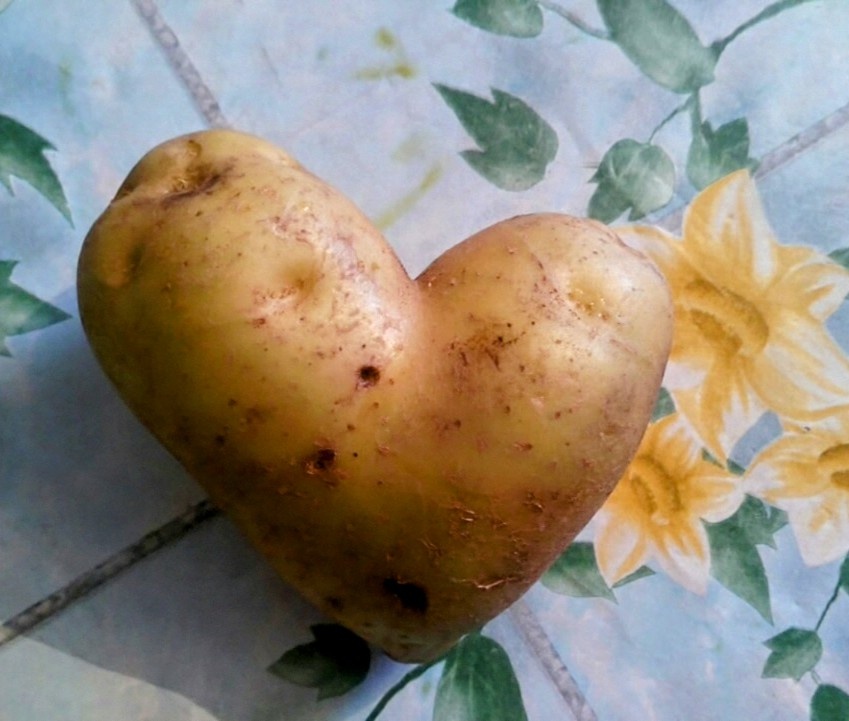 Любовь иногда не морковь.