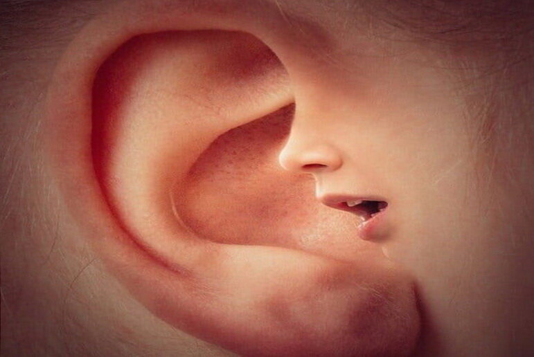 Фото: Яндекс картинки