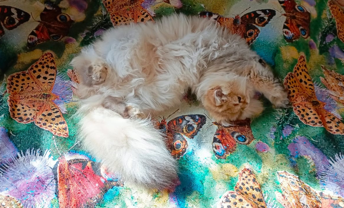 Фото из личного архива