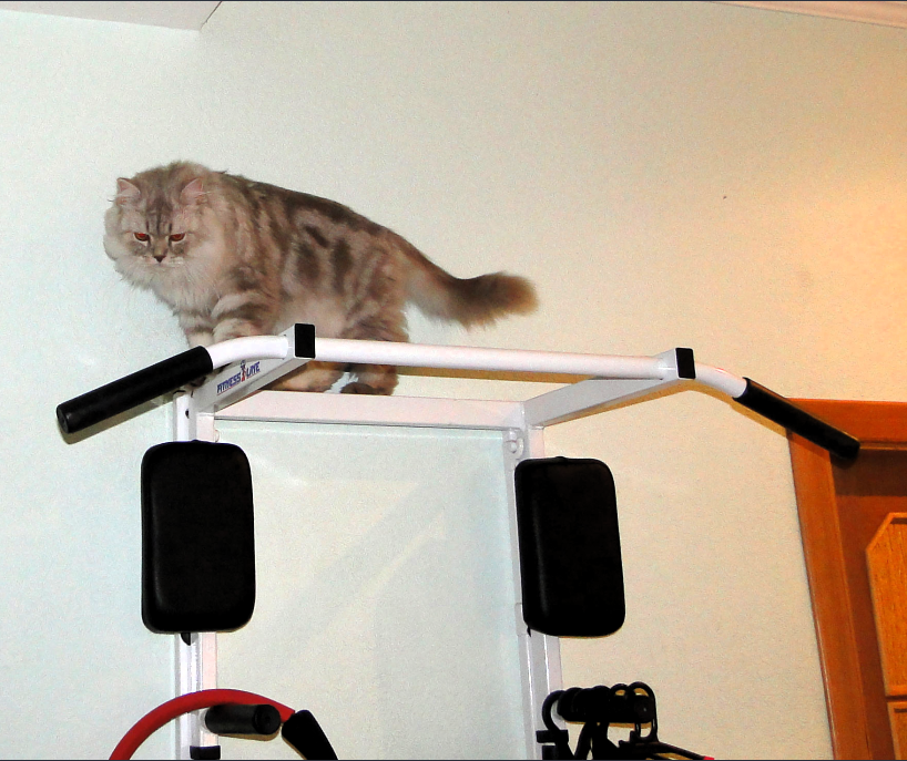 Фото автора