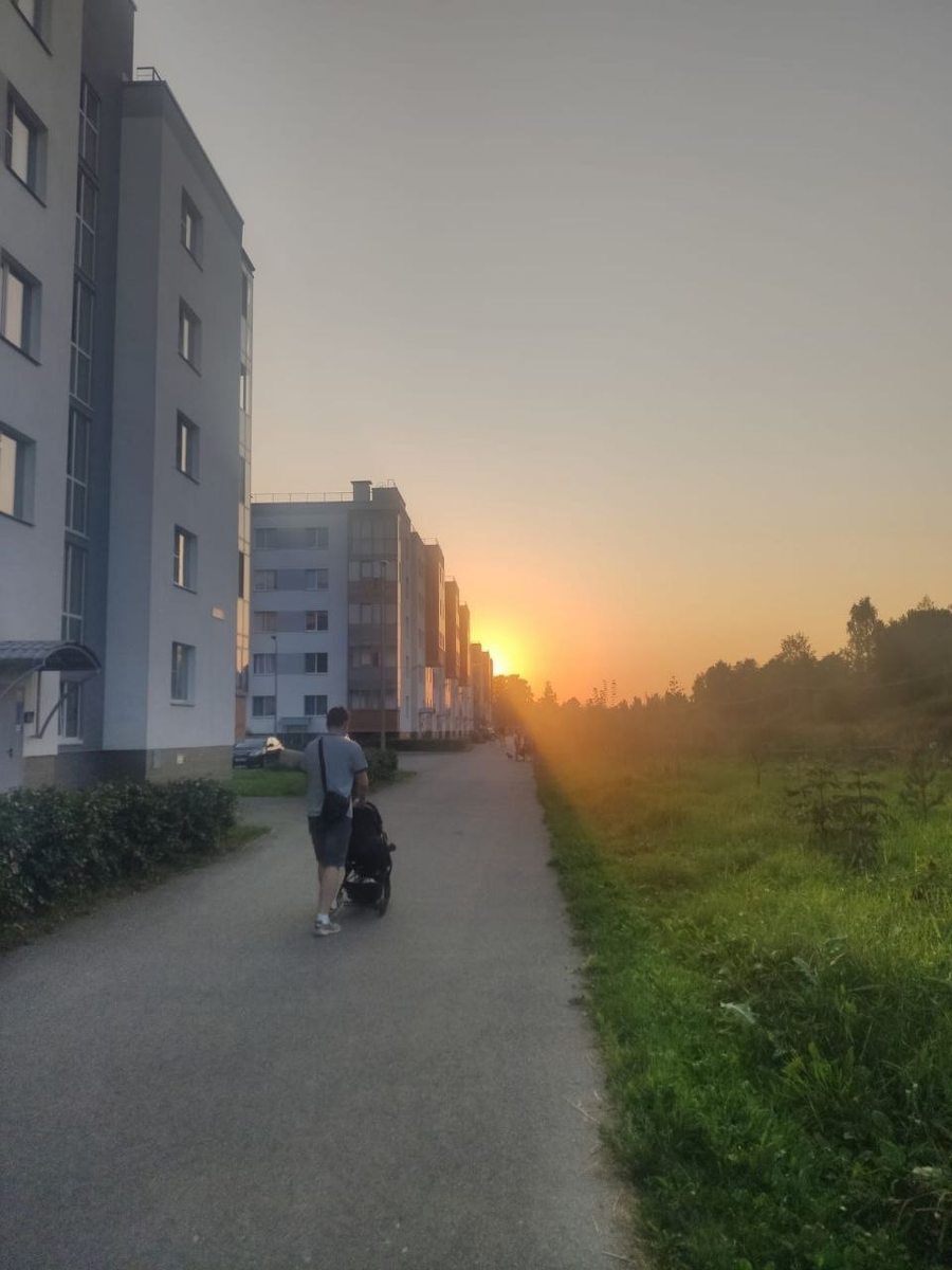 Что я вижу летом, выходя из своего дома. А теперь вдоль тополей хотят проложить дорогу.