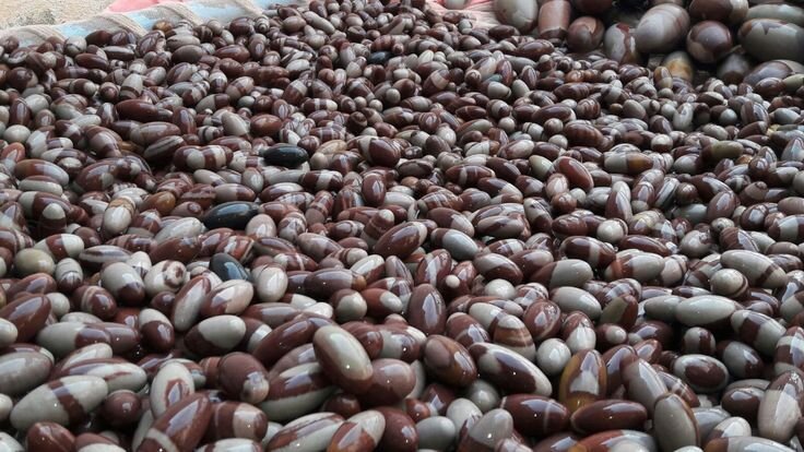 Фото: https://www.pinterest.com/pin/