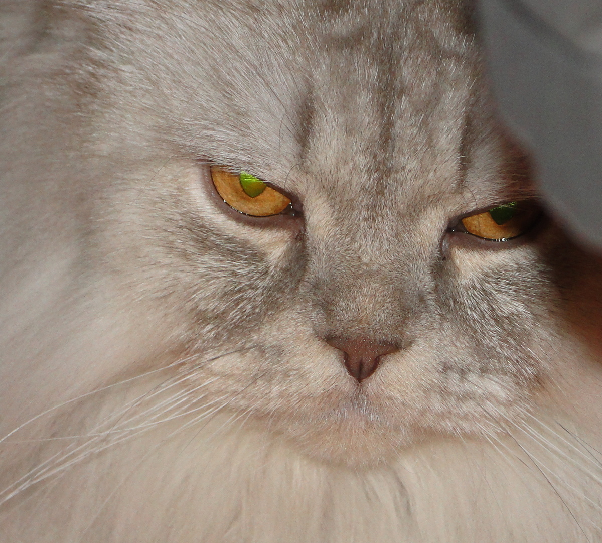 Фото из личного архива