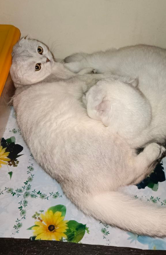 ФОТО ИЗ ЛИЧНОГО АРХИВА