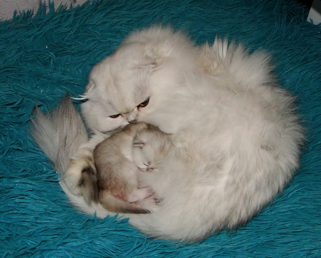 ФОТО ИЗ ЛИЧНОГО АРХИВА