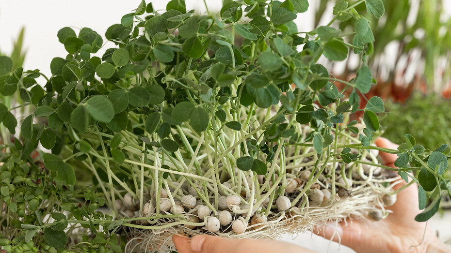     Здесь и далее: freepik.com (@pvproductions)