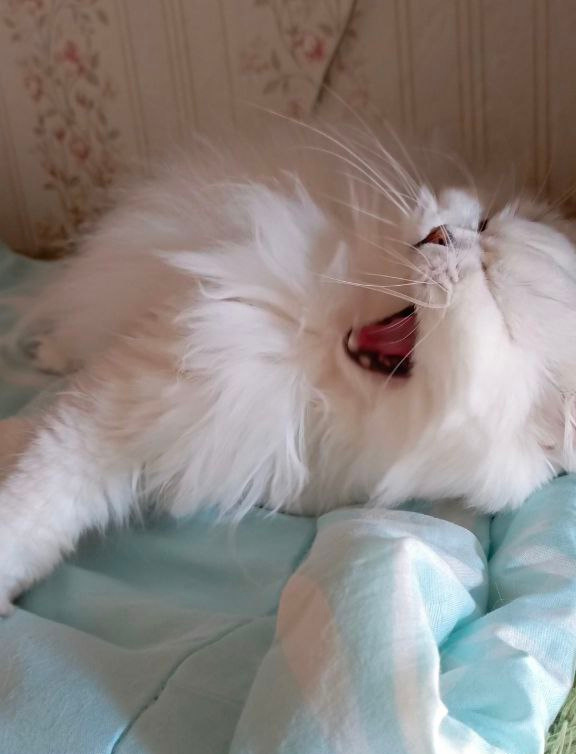 Фото из личного архива