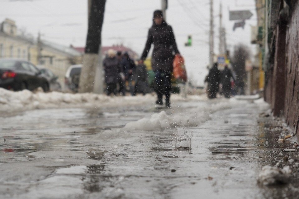    Настоящую весну в марте ждать не стоит Алексей ФОКИН (фото)