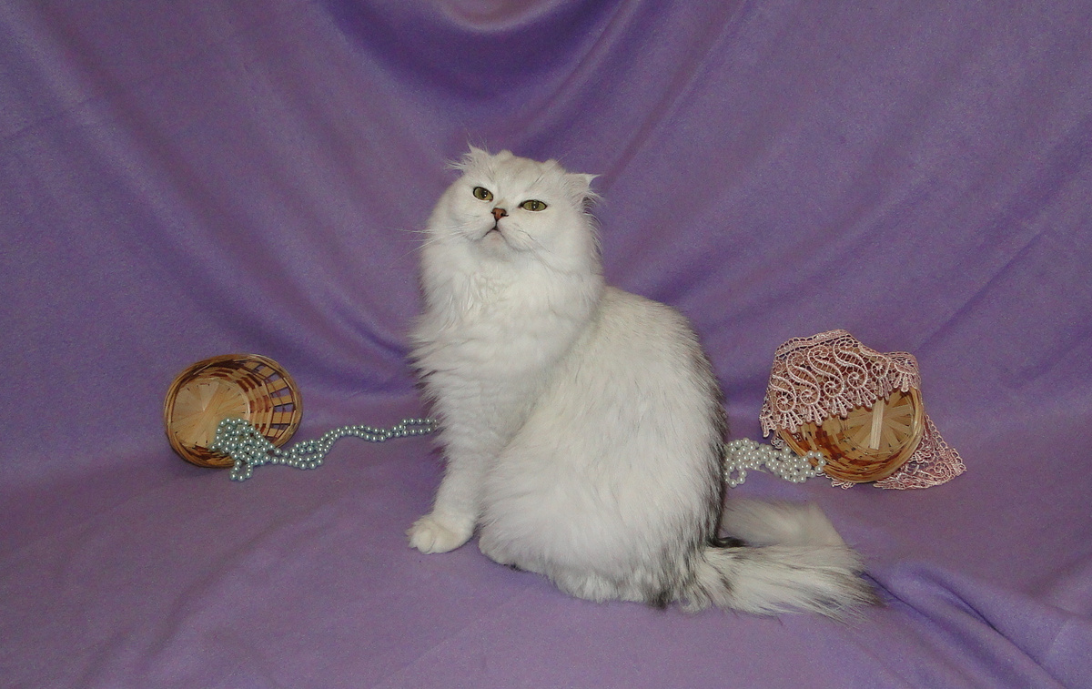 Фото из личного архива