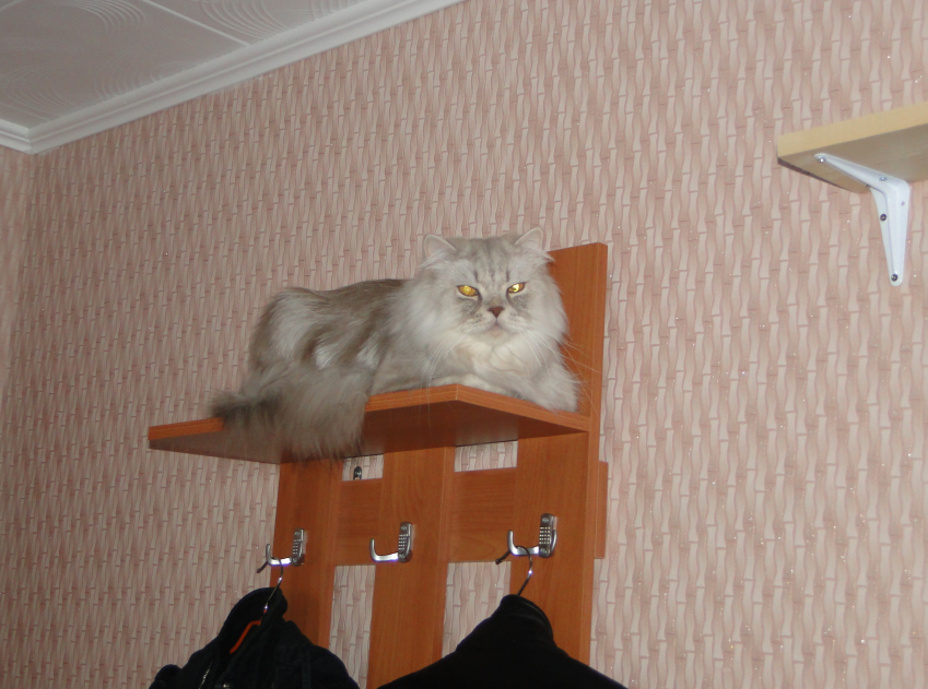 Фото автора