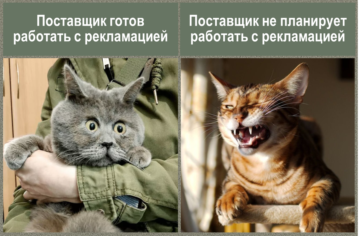 Добавьте писание