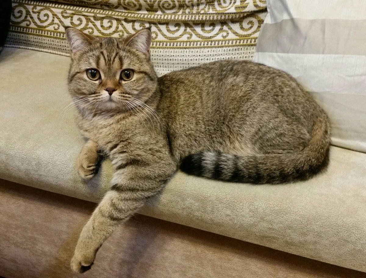 ФОТО ИЗ ЛИЧНОГО АРХИВА