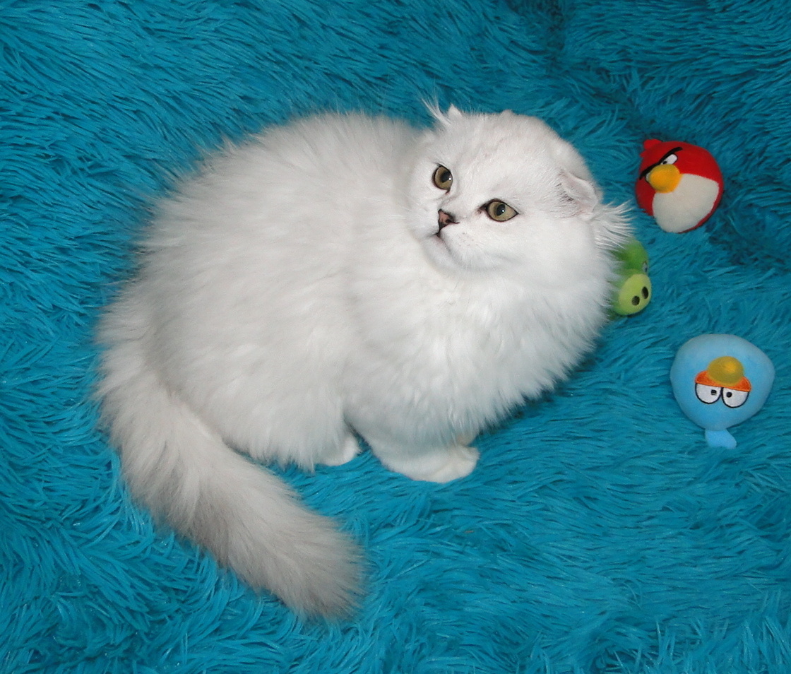 ФОТО ИЗ ЛИЧНОГО АРХИВА