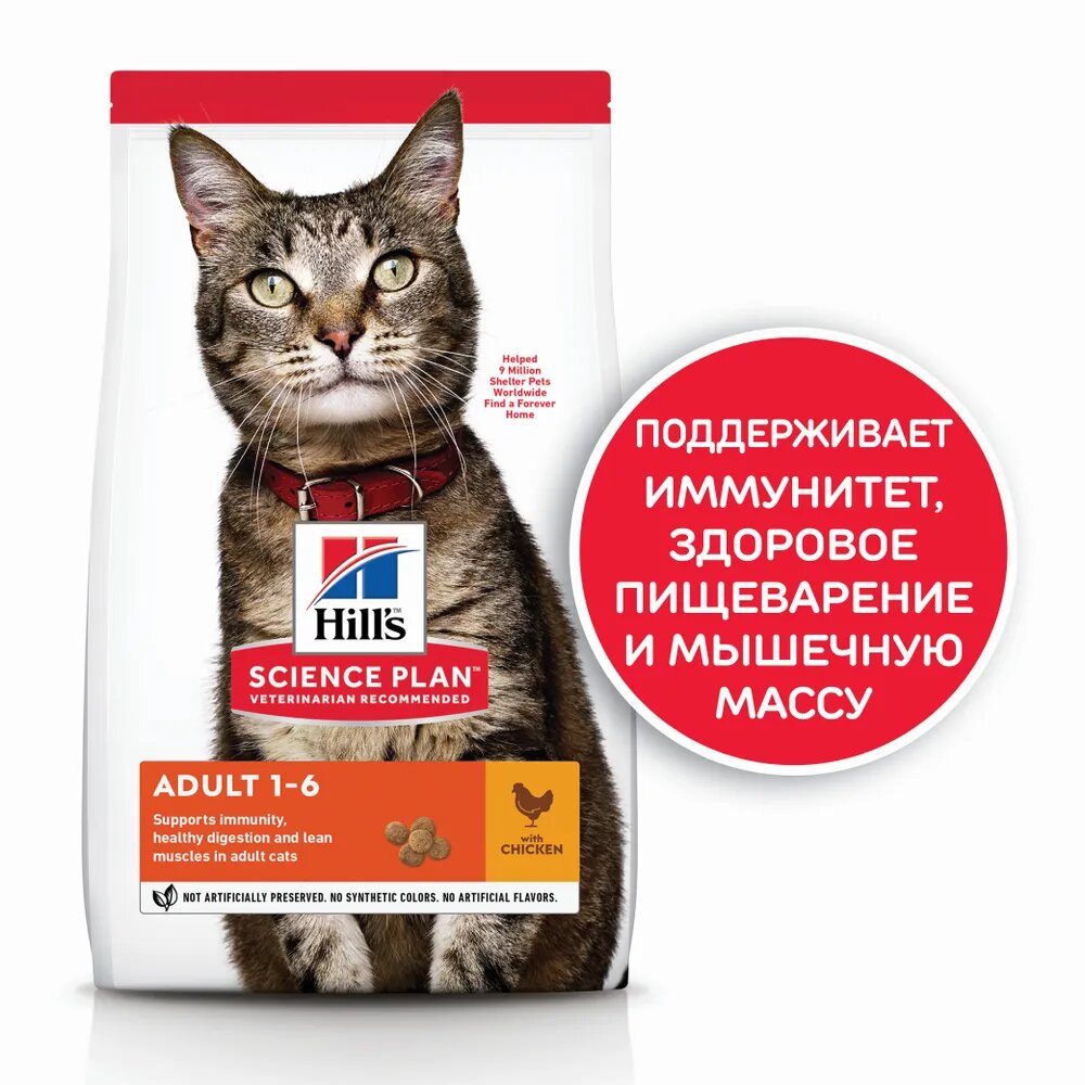 Источник фото - https://www.ozon.ru/