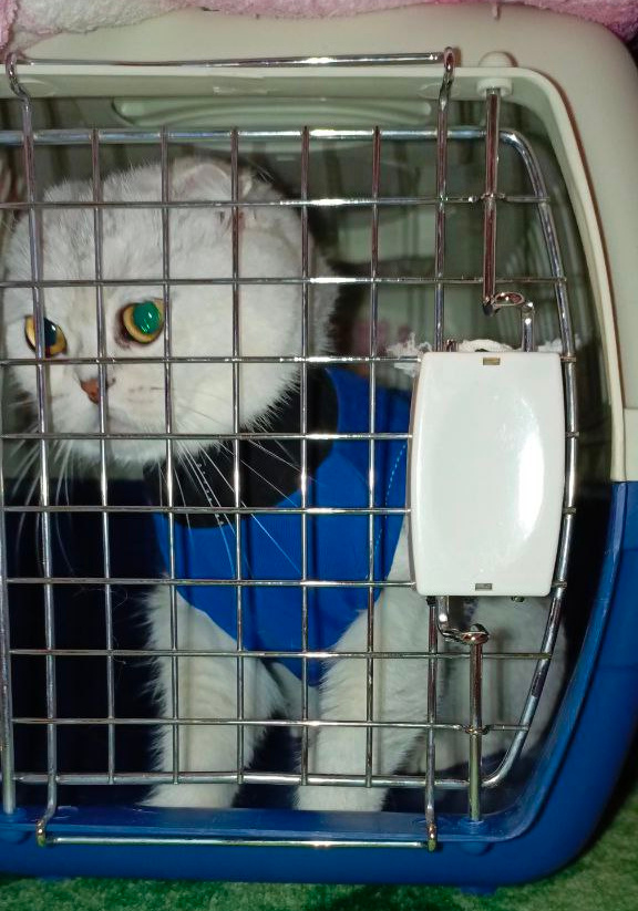 Фото из личного архива