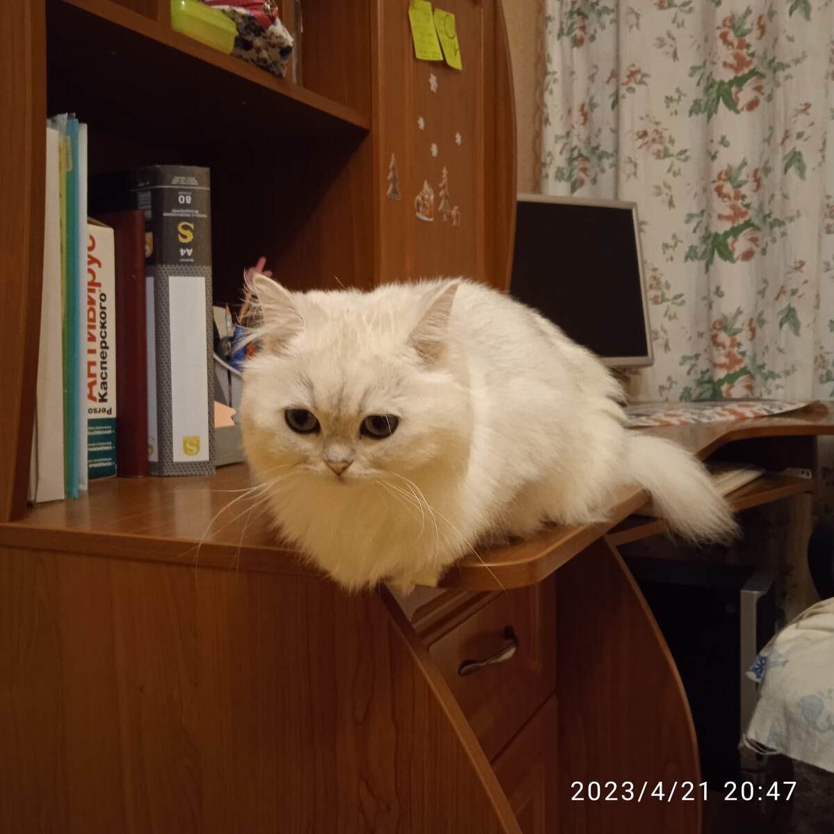 -2