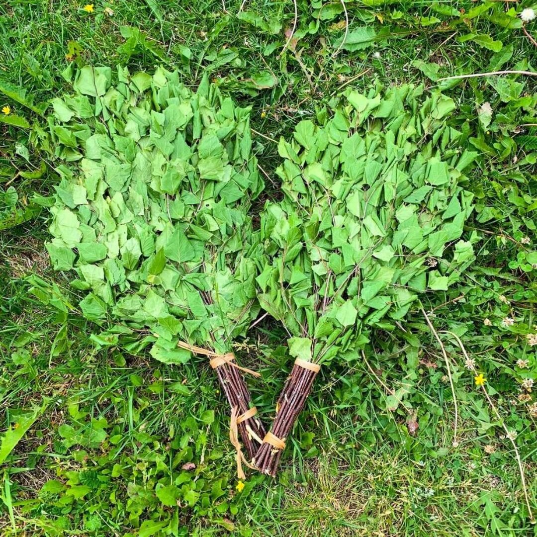 Берёзовый - классический и полезный веник русской бани