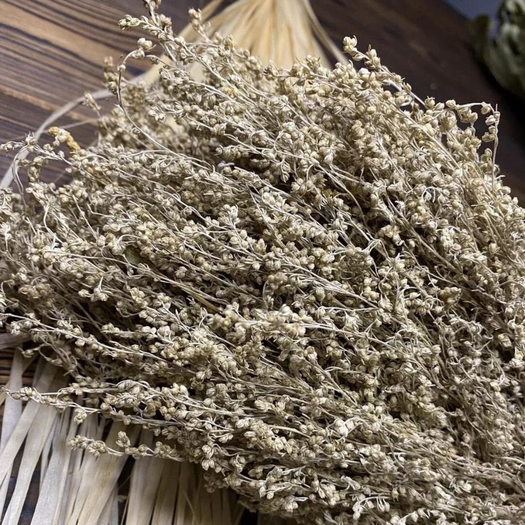 Полынь распространённая травушка русского поля