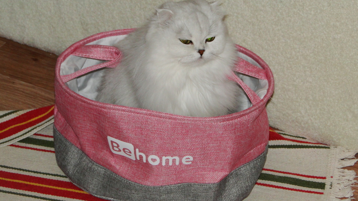 Фото из личного архива