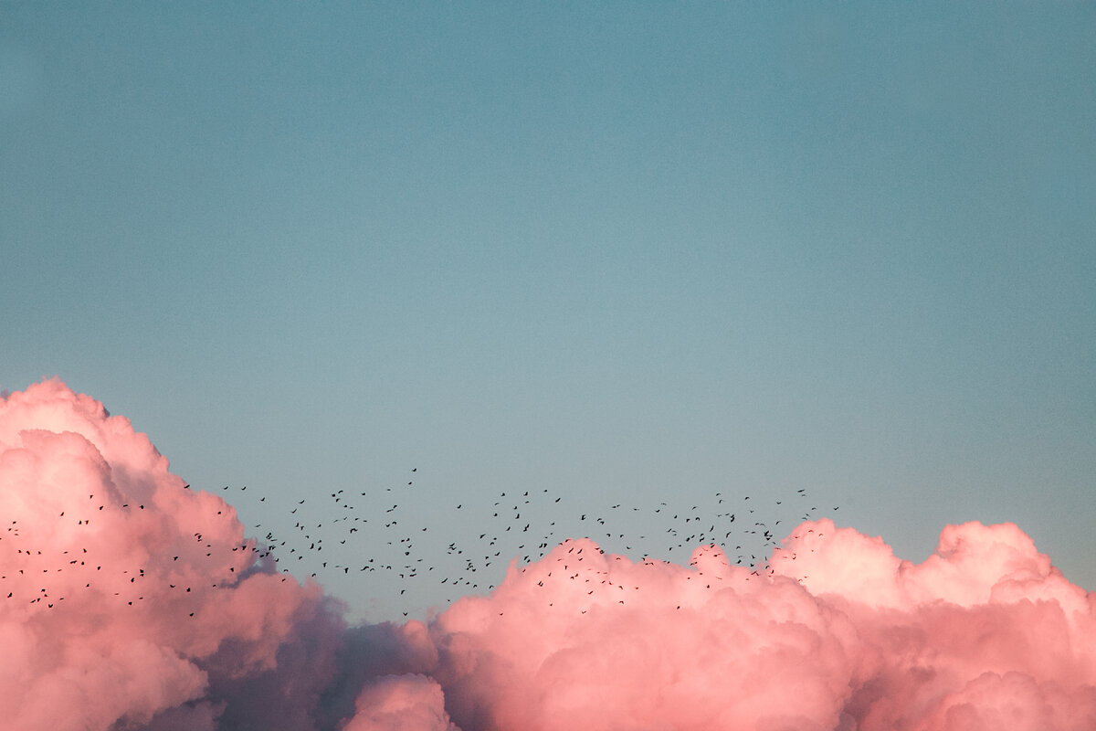 Photo by Kenrick Mills on Unsplash