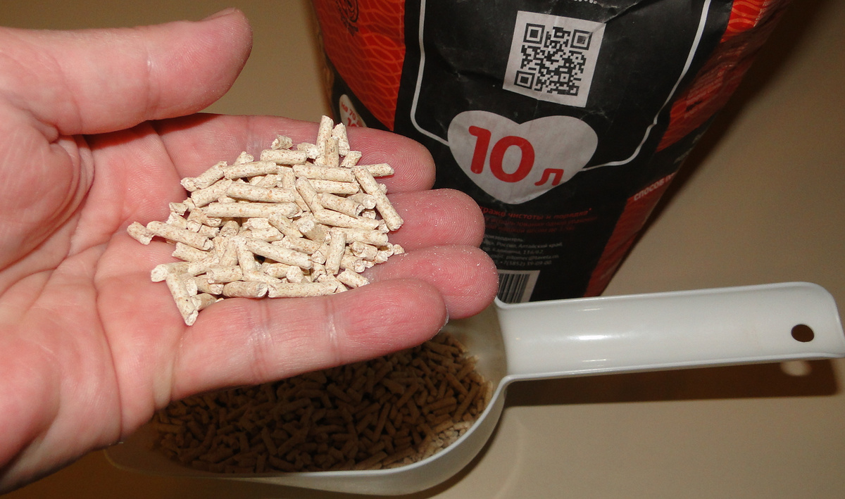 Фото из личного архива