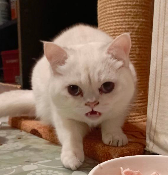 ФОТО ИЗ ЛИЧНОГО АРХИВА