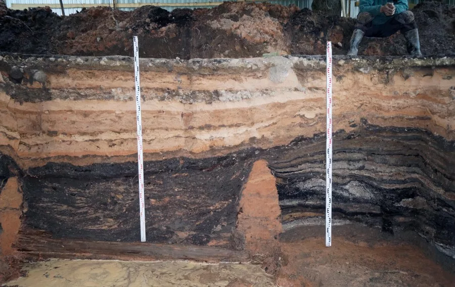 Культурный слой IX - X веков, законсервированный слоями песка