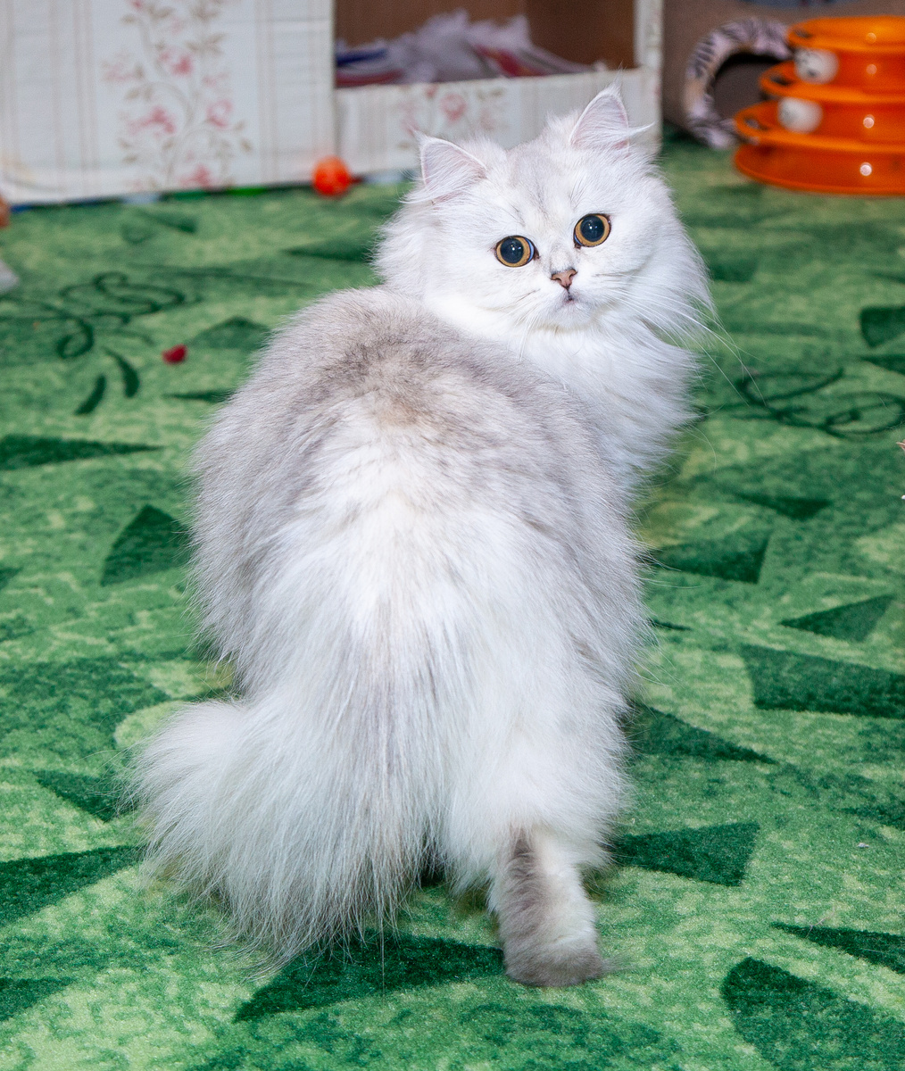 Фото из личного архива