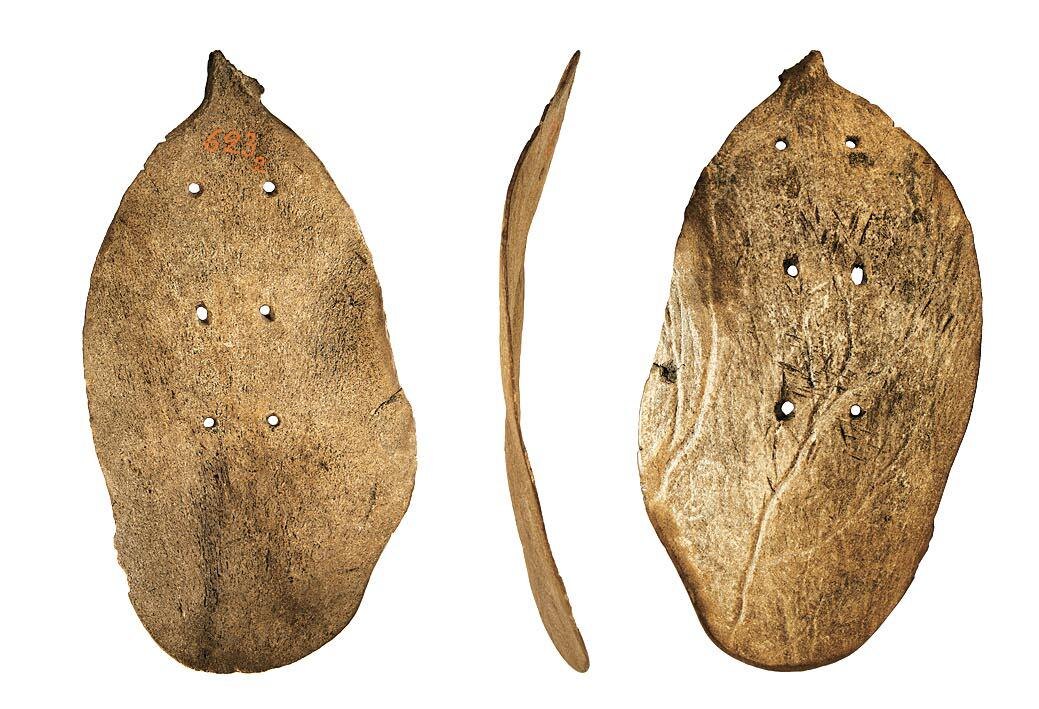 Лопасть лопаты. Рог лося. Шигирский торфяник, прииск «По Истоку». МАЭ РАН. Фото С.Б. Шапиро