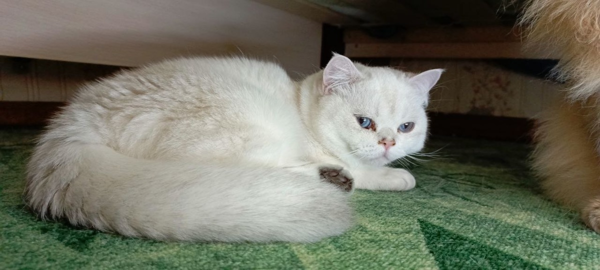 Фото из личного архива