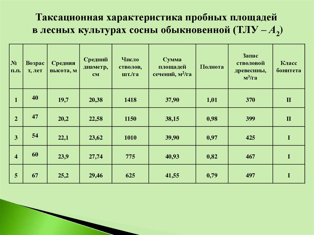 Возраст дерева ели. Диаметр сосны по годам. Возраст сосны от диаметра. Сосна обыкновенная Возраст. Диаметр сосны обыкновенной.