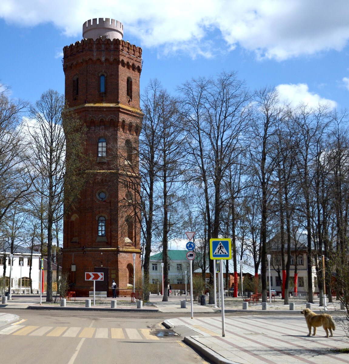 Апрельский Зарайск и собака. Все фотографии в статье мои