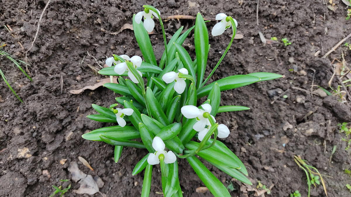 Фото из личного архива