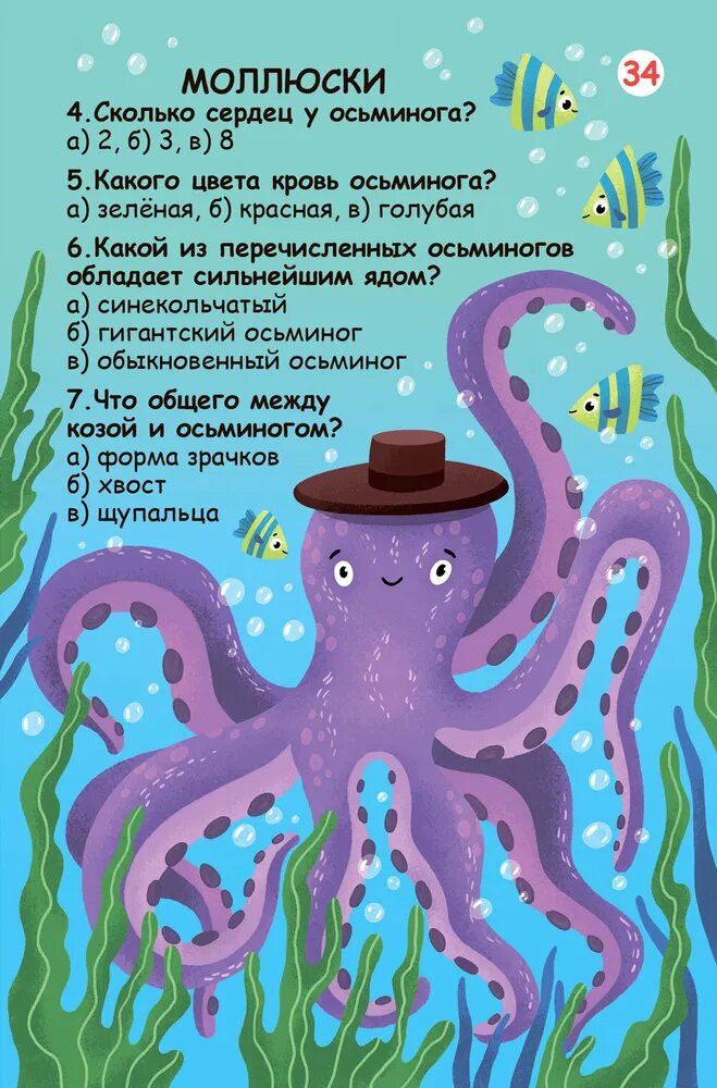 Вопросы и ответы о животном мире