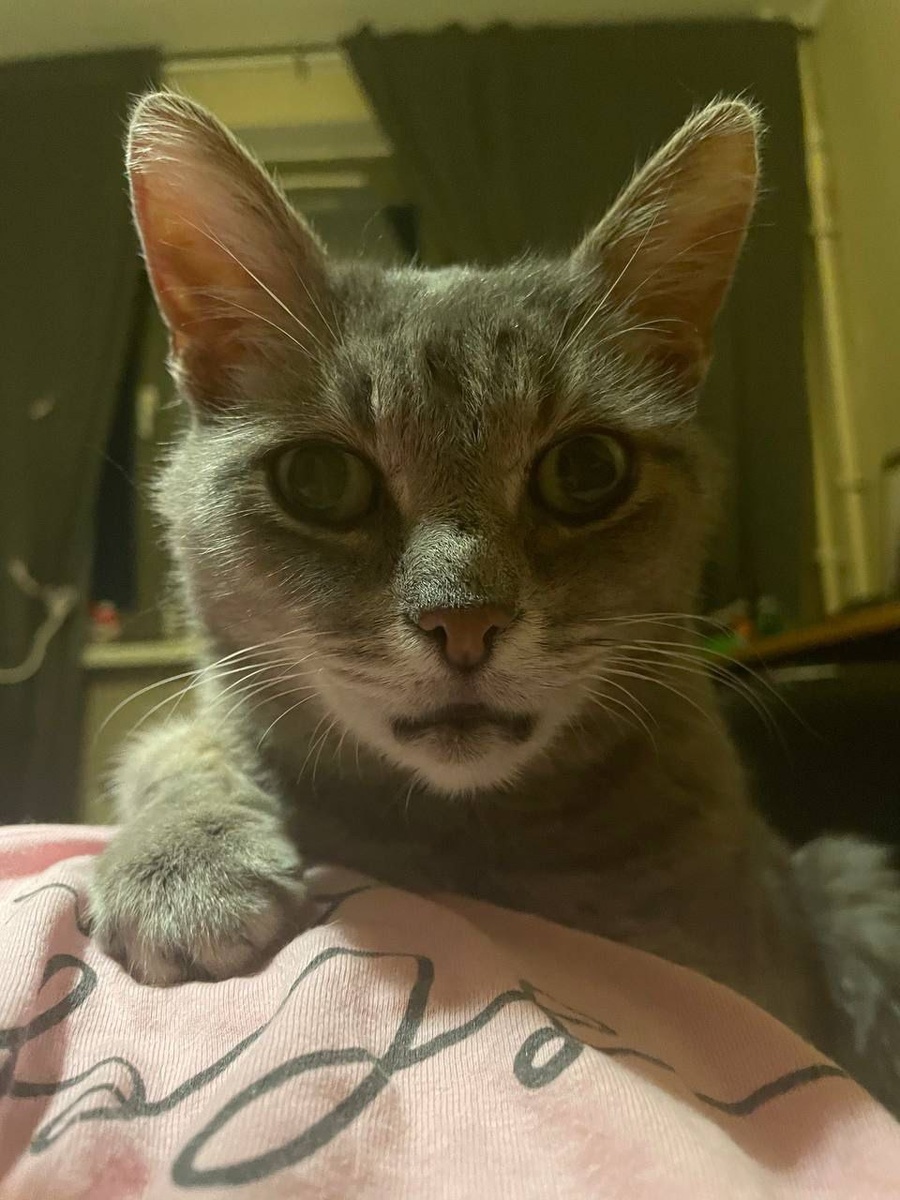 Всем спасибо кто нам помогал и поддерживал! Пожелаем нашему малышу счастья в новой семье