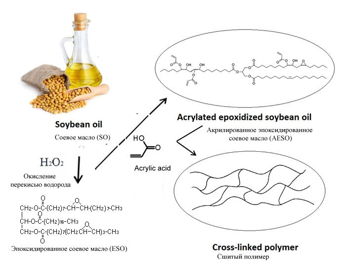 Процесс эпоксидирования и акрилирования триглицерида соевого масла, и как результат - образование сшитого фотополимера под действием радикальной полимеризации.