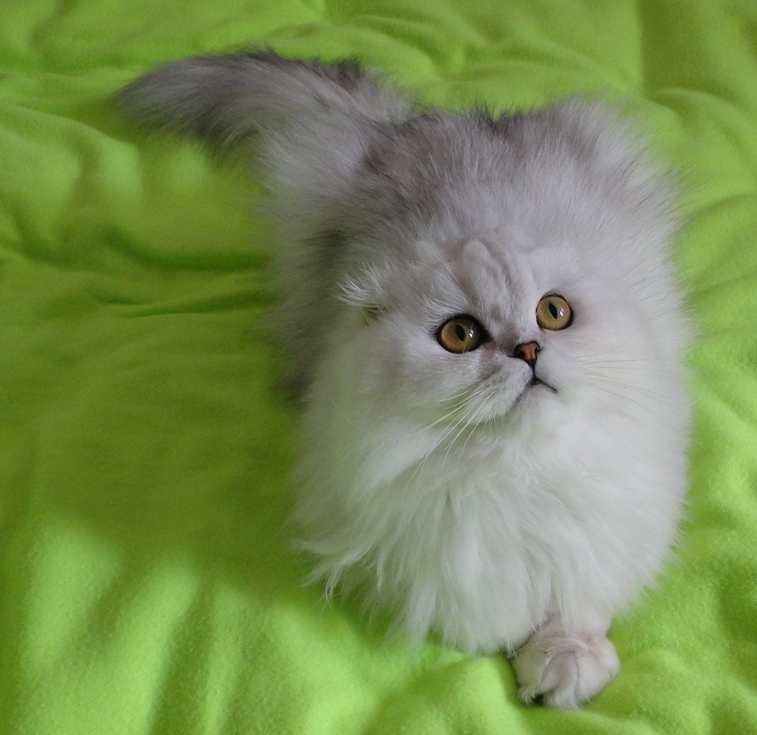 Фото из личного архива