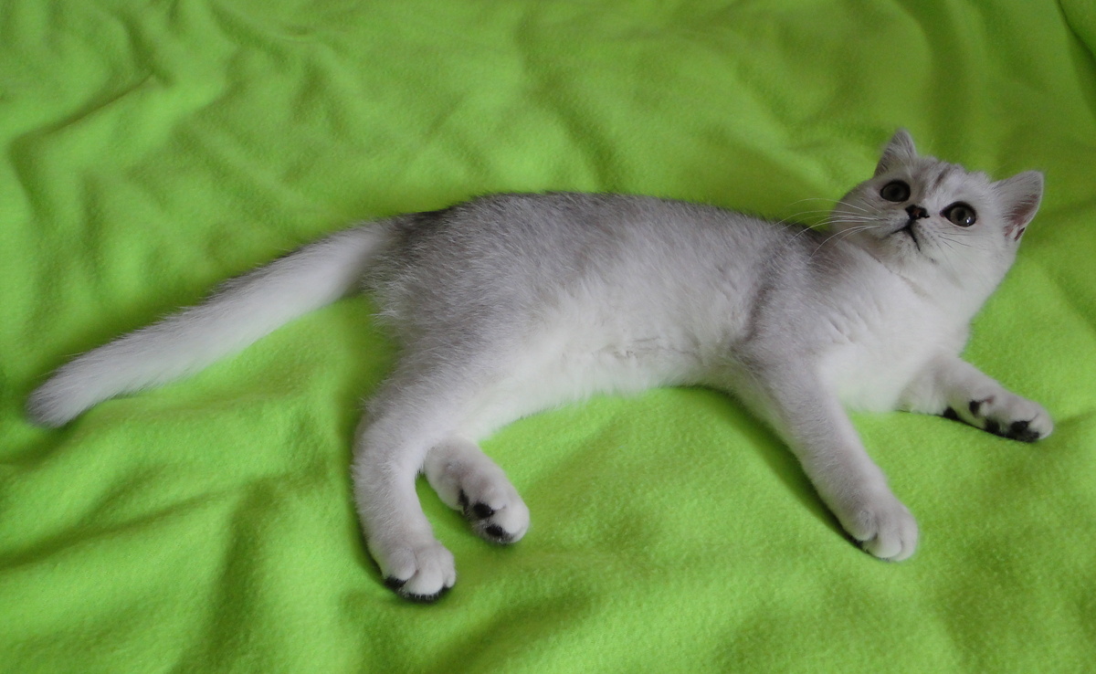 Фото из личного архива