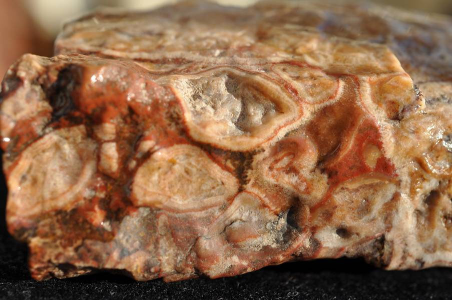 Переливт. Представьте, как он будет красив, если отполировать, в бусинах, в кулонах. Адрес владельца образца https://vk.com/id228152812