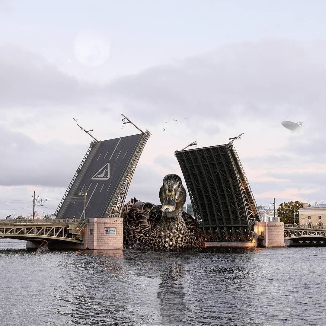 Вот для кого на самом деле разводят мосты в Санкт-Петербурге
♦
https://www.facebook.com/PiterOnline/posts/pfbid02hogBkw2KcZKyMgwb7XhaqNj2G2qF5gbW698KrxKjqGcdGcNotMUb9dfXQ8T7wLoBl