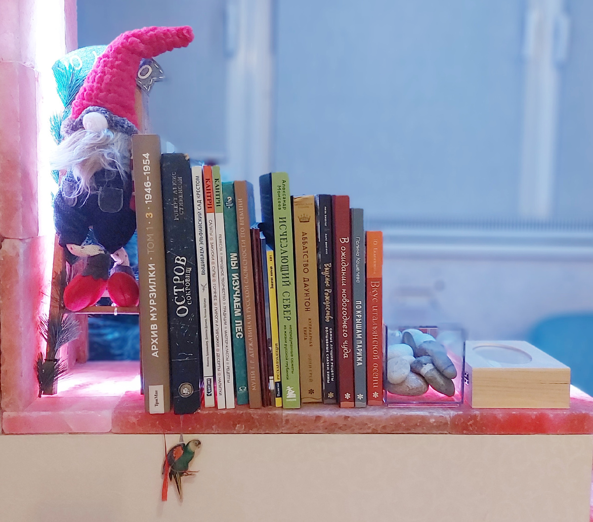 Моя книжная полка