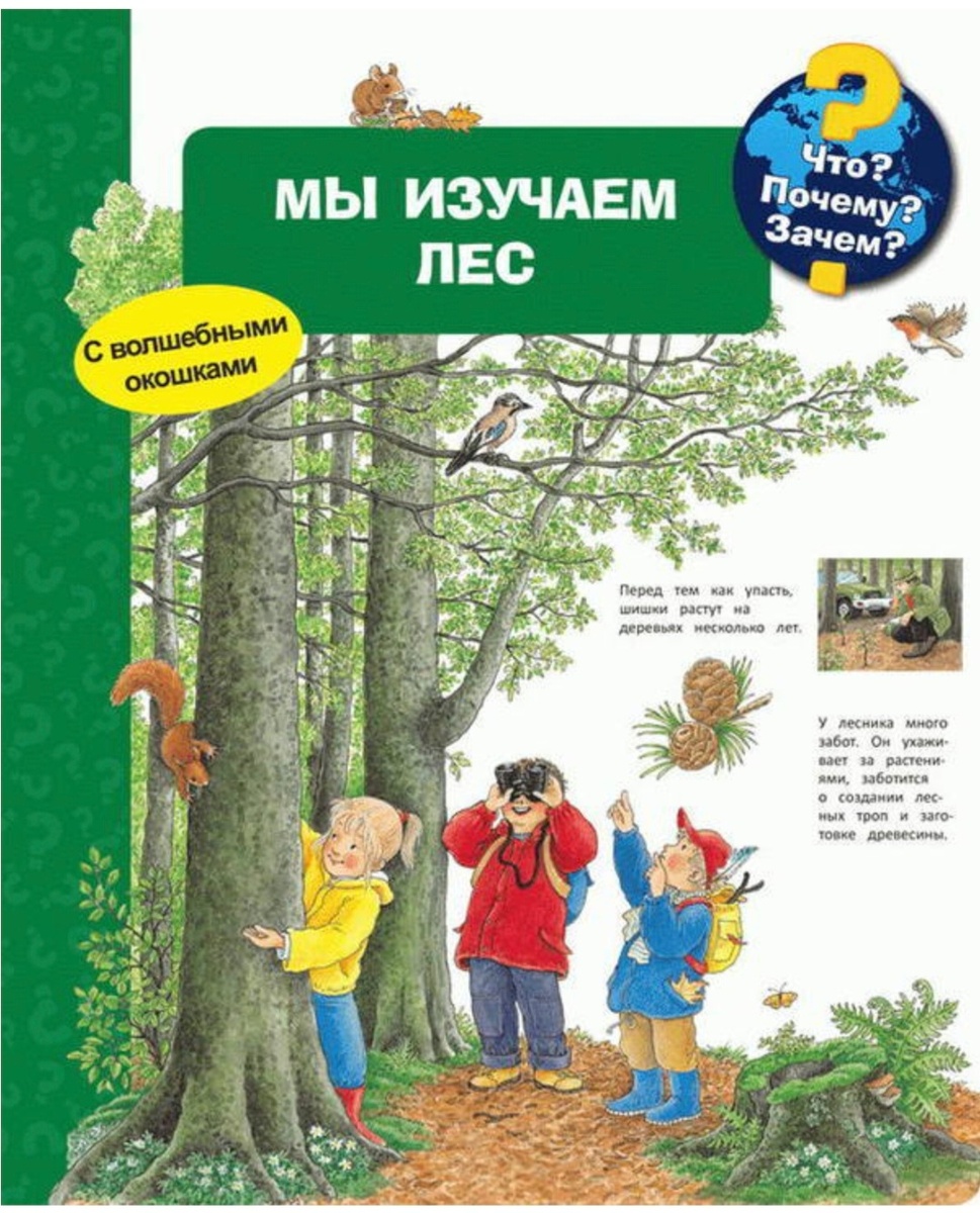 Мы изучаем лес