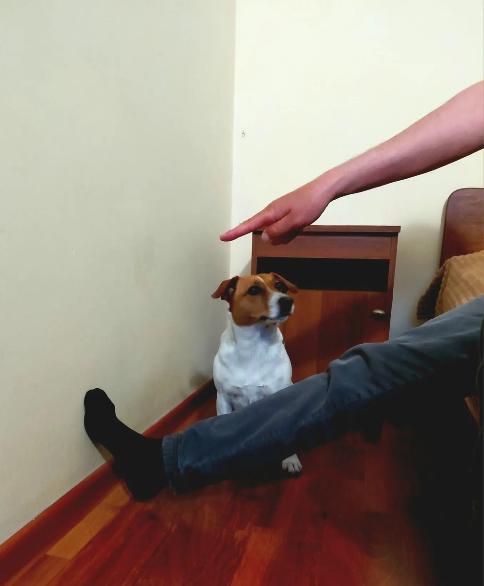 Первый шаг - поставьте свою ногу ОЧЕНЬ низко! Пусть Собака просто перешагнёт через ногу за вкусняшкой