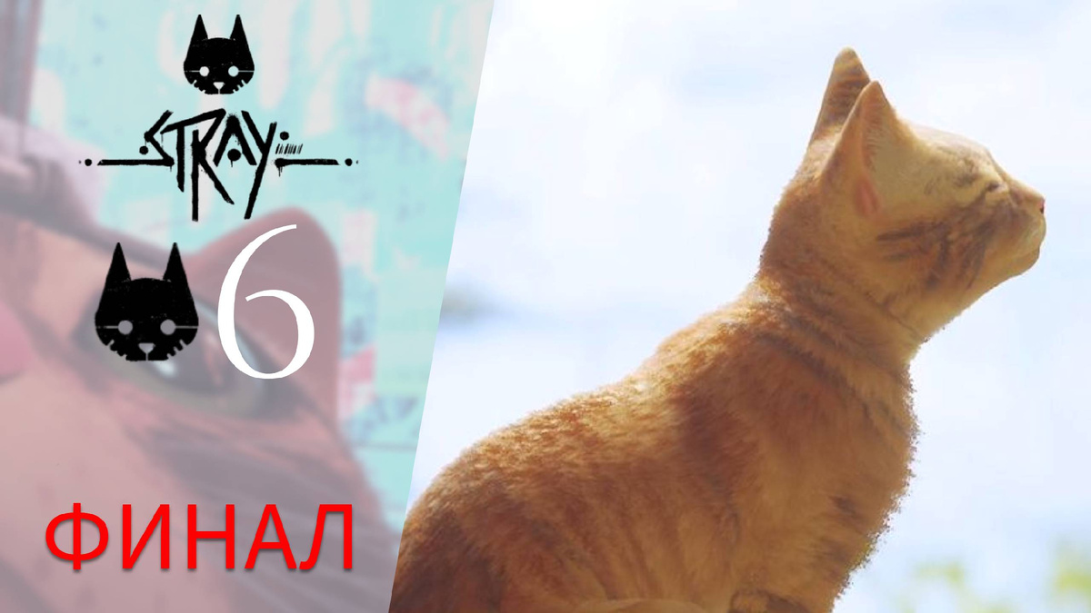 📼 РОБОВЕЙНИК цветы, МИДТАУН: Клементина, куртка и каска рабочего, кассета - Прохождение Stray #5