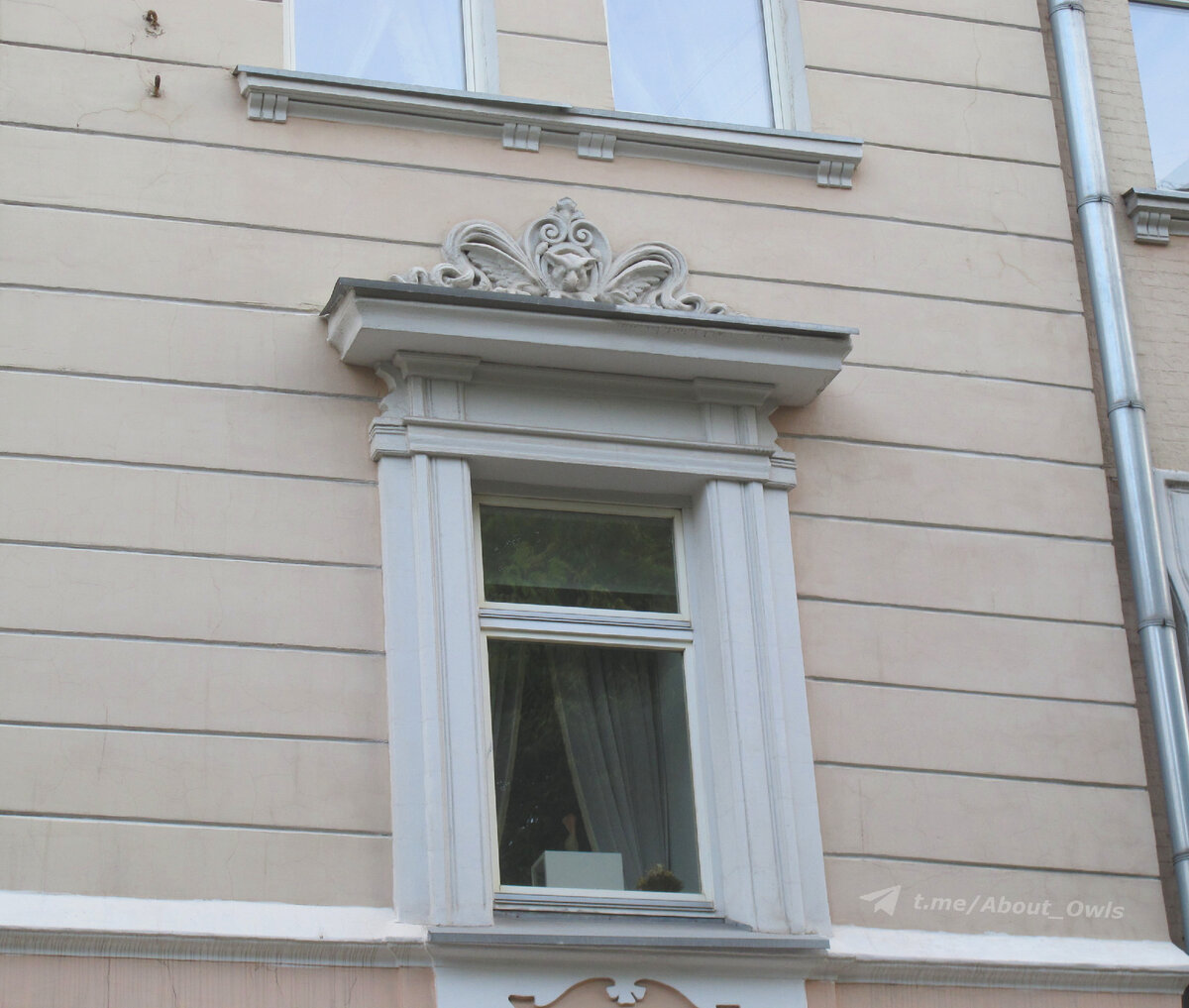 Сова тут, судя по длине ушей, ушастая)). Фото – август 2022